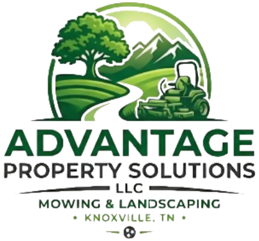 Advantage Property Solutions logo