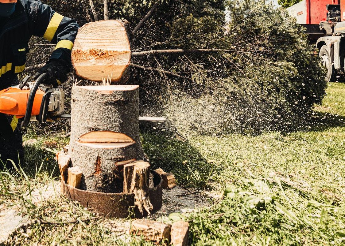 A firefighter uses a chainsaw to cut a tree stump while a truck assists in an outdoor setting.